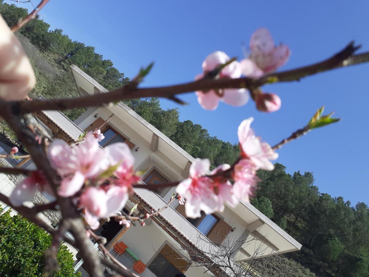 Kanushi House Gjirokastër Esterno foto